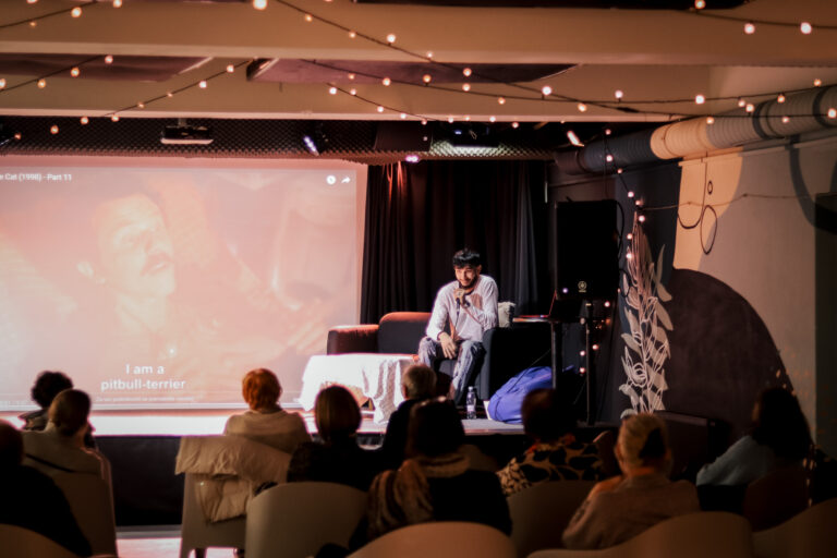 Romski večer v Mladinskem centru Gornja Radgona: praznovanje raznolikosti in povezovanja